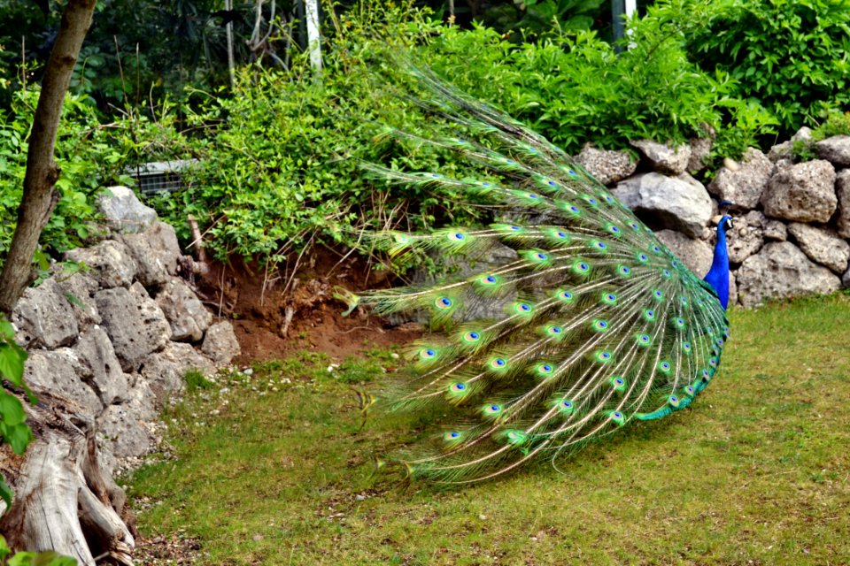 tierpark