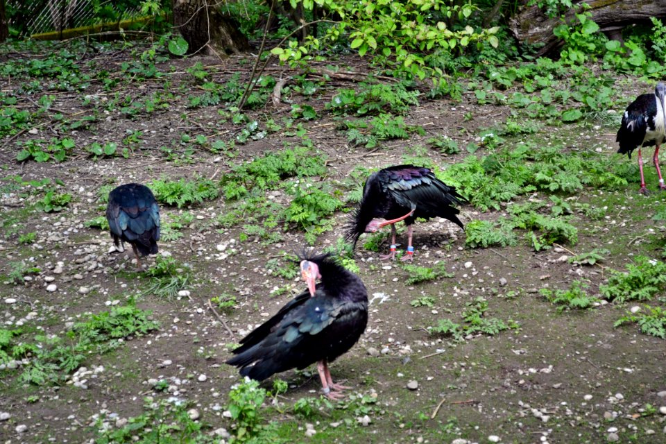 tierpark