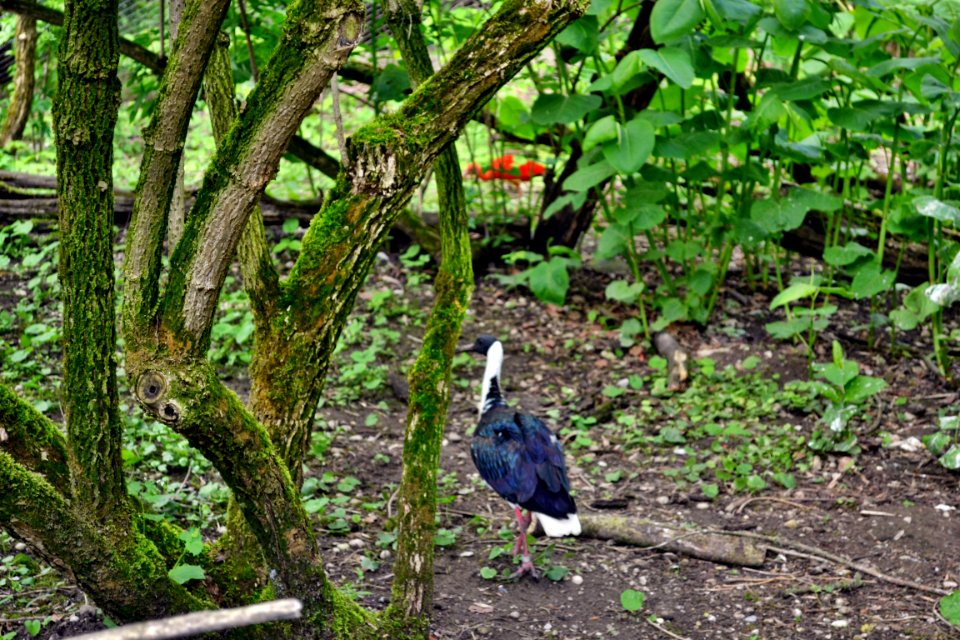 tierpark