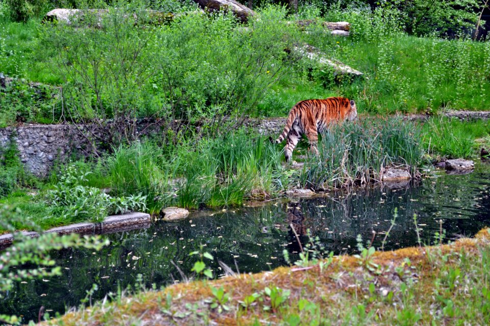 tierpark