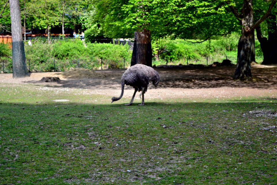 tierpark