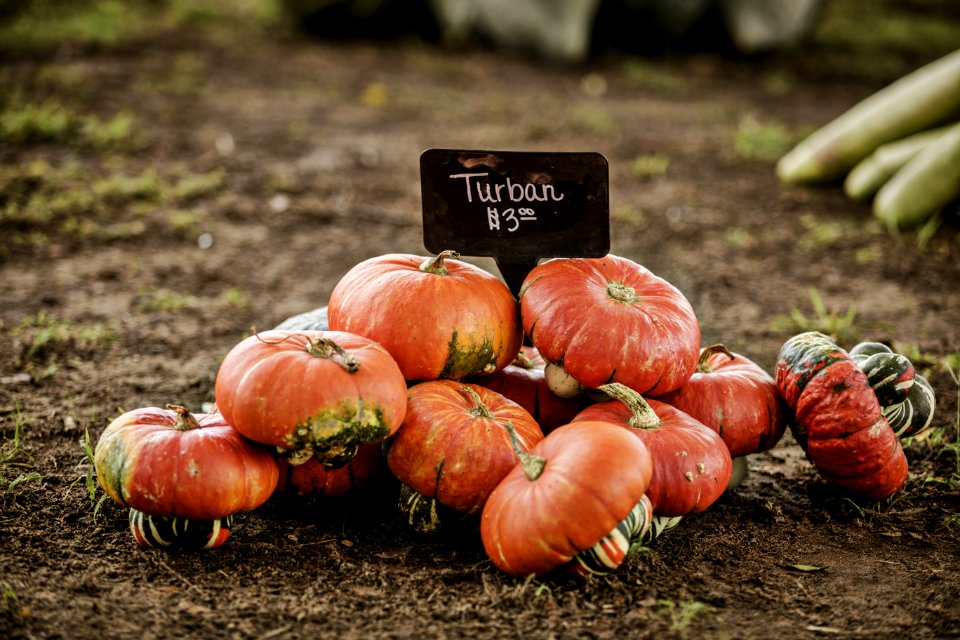 20200925-FPAC-PeeblesFarm-005