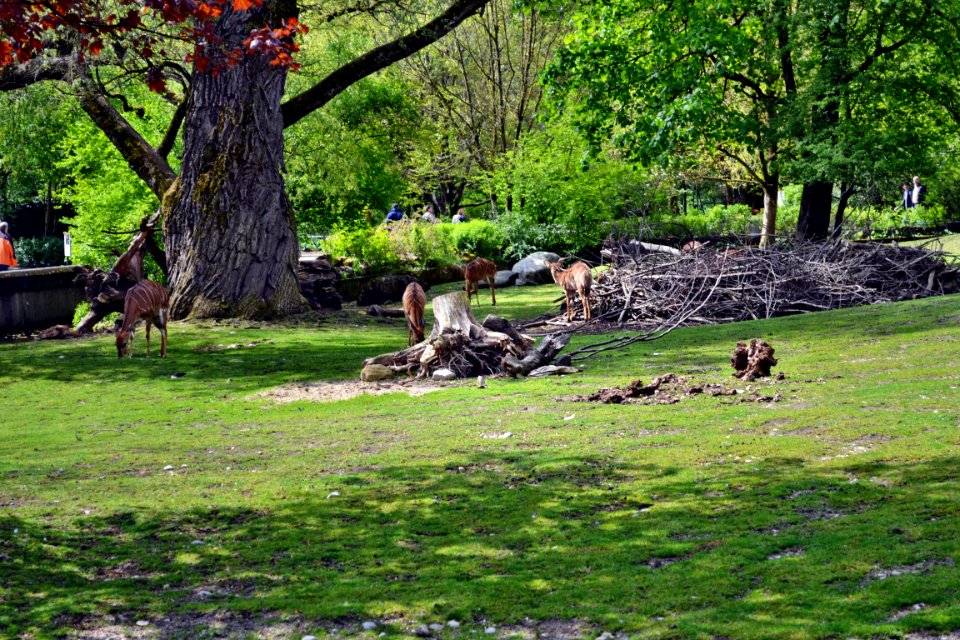tierpark