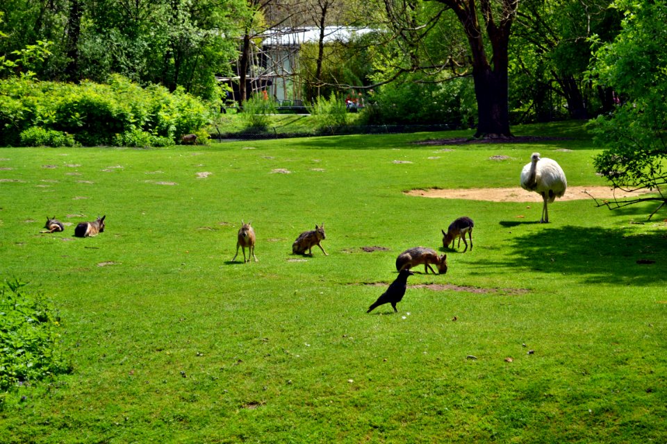 tierpark