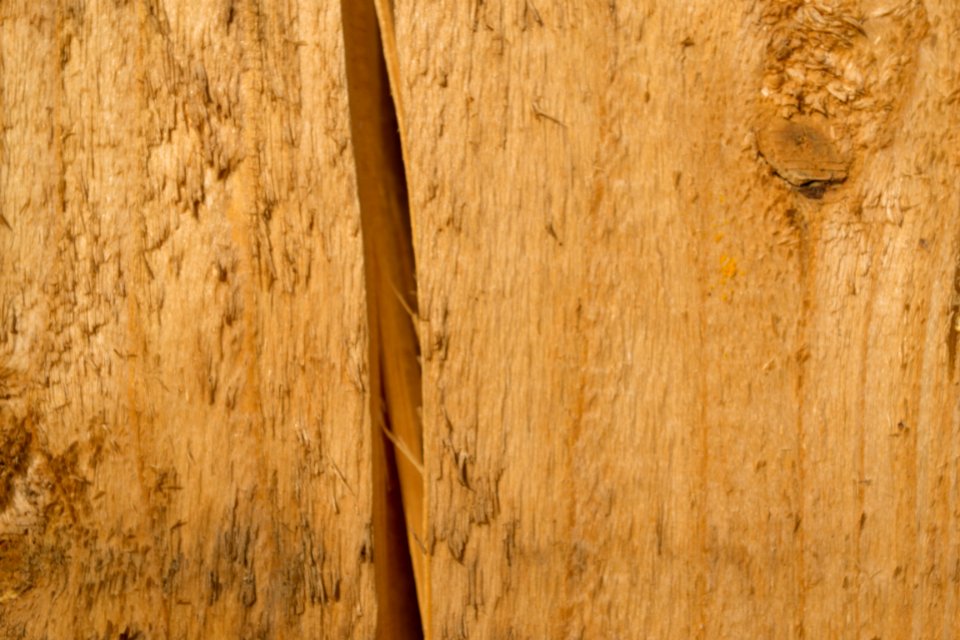 Cracked wood photo