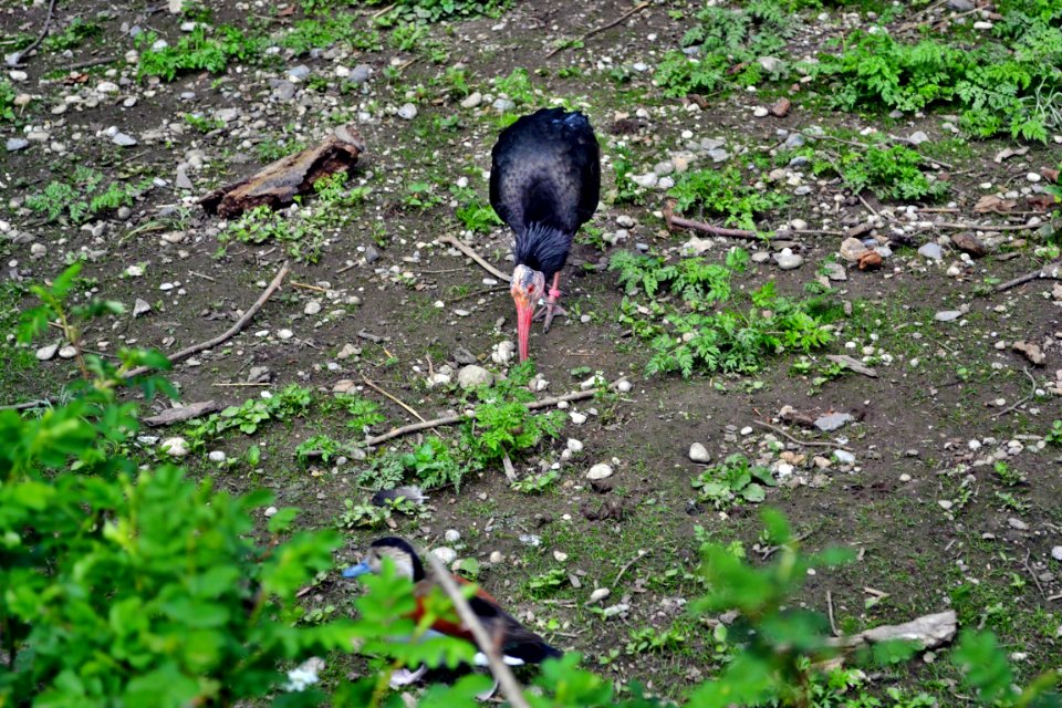 tierpark