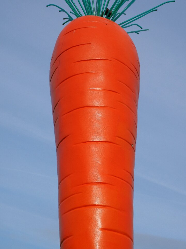 Rosalie madaris ostfildern