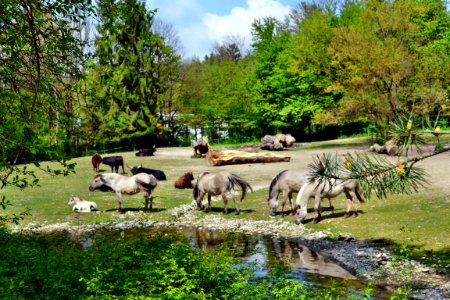 tierpark