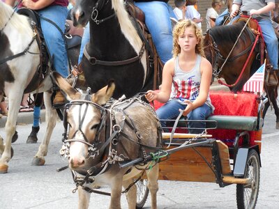 People wagon history photo