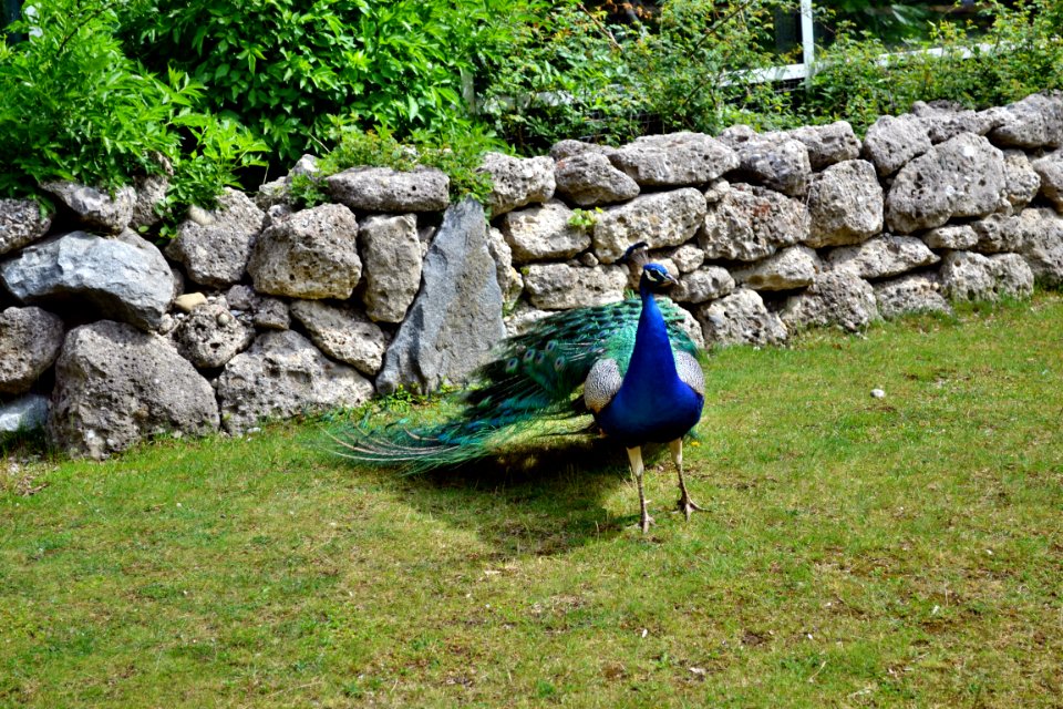 tierpark
