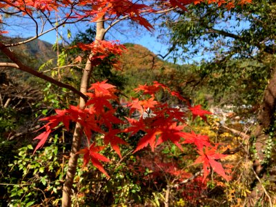 Akagawa Valley in Akiruno-shi