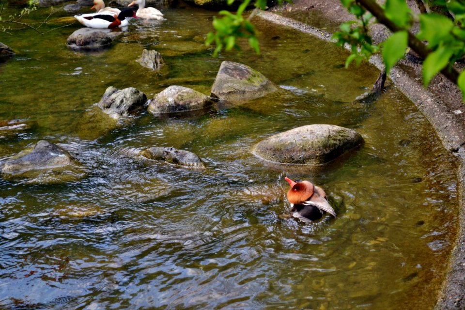 tierpark