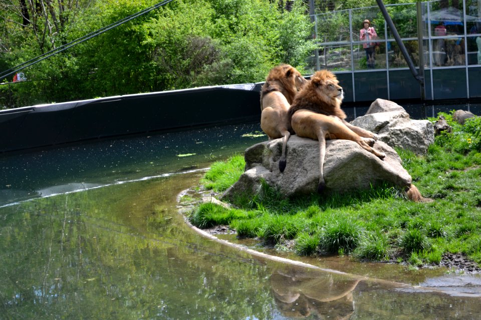 tierpark