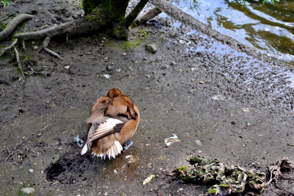 tierpark