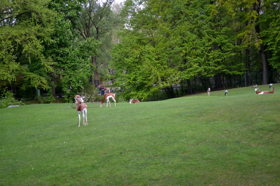 tierpark