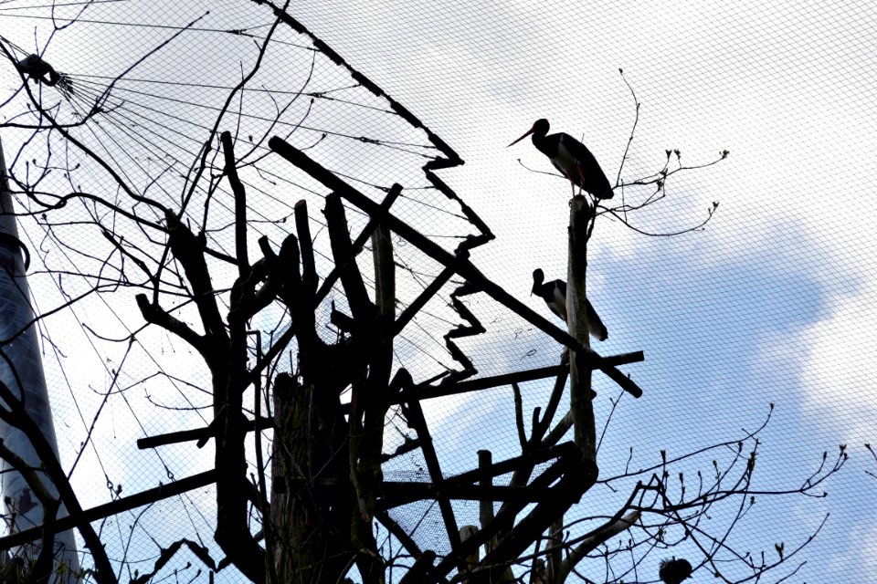 tierpark