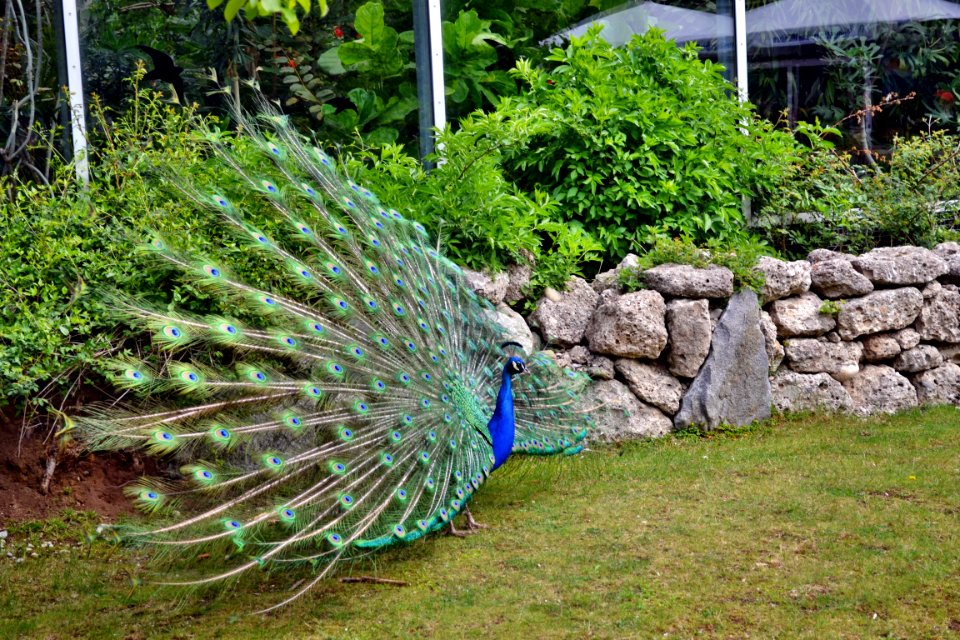 tierpark