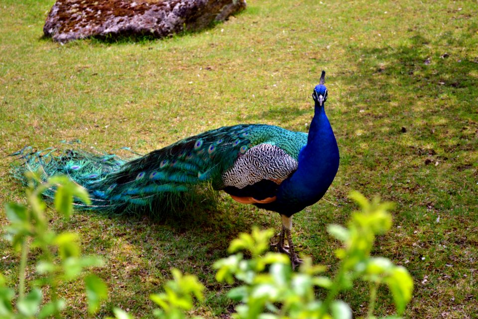 tierpark