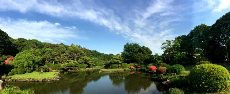 Koishikawa Botanical Garden in Bunkyo-ku, Tokyo