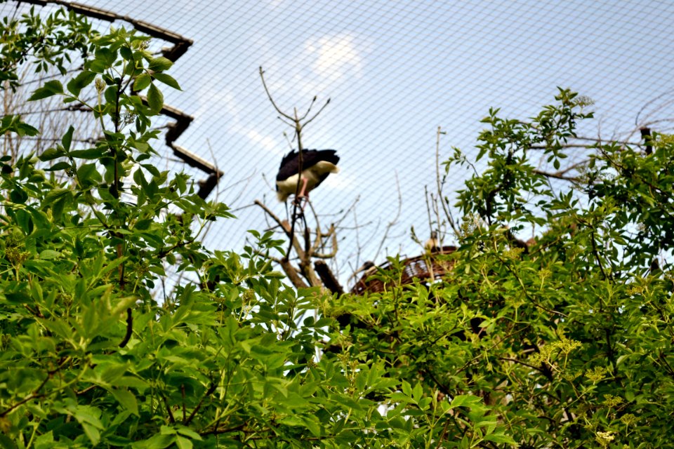 tierpark