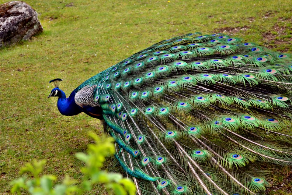 tierpark