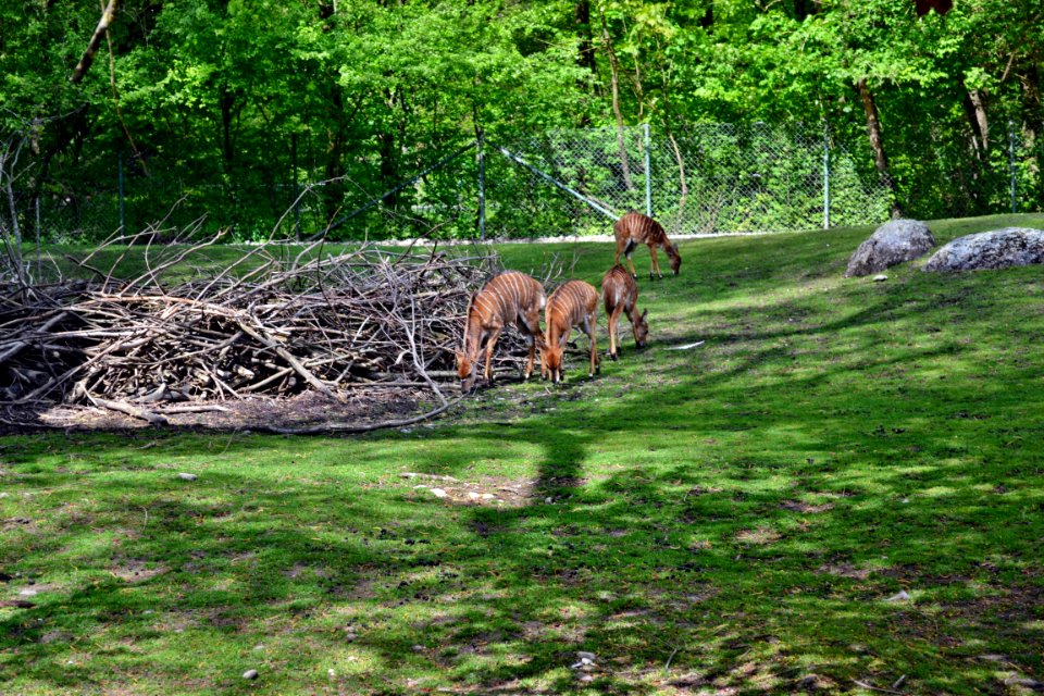 tierpark