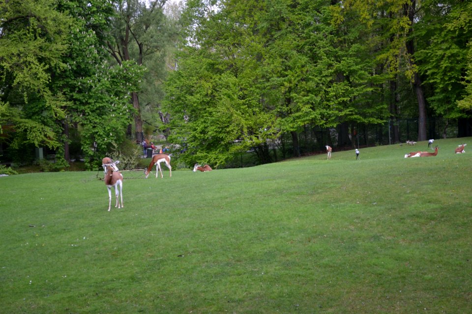 tierpark