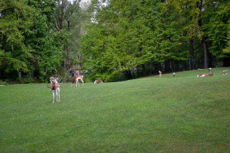 tierpark