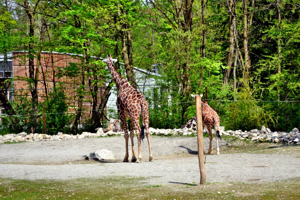 tierpark