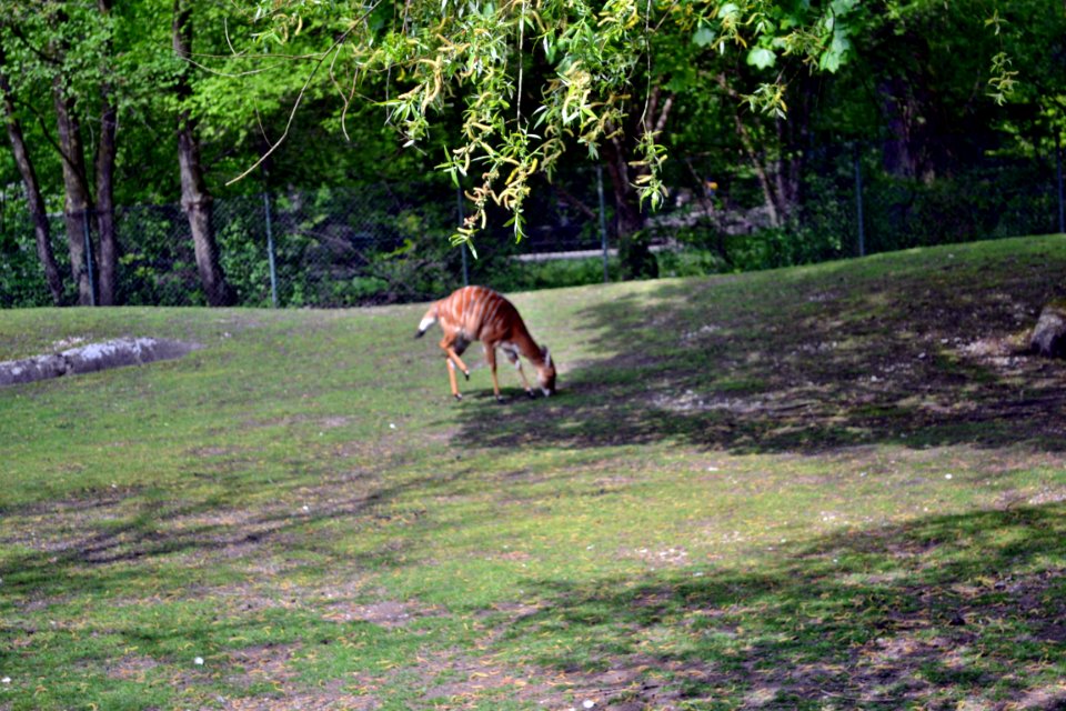 tierpark