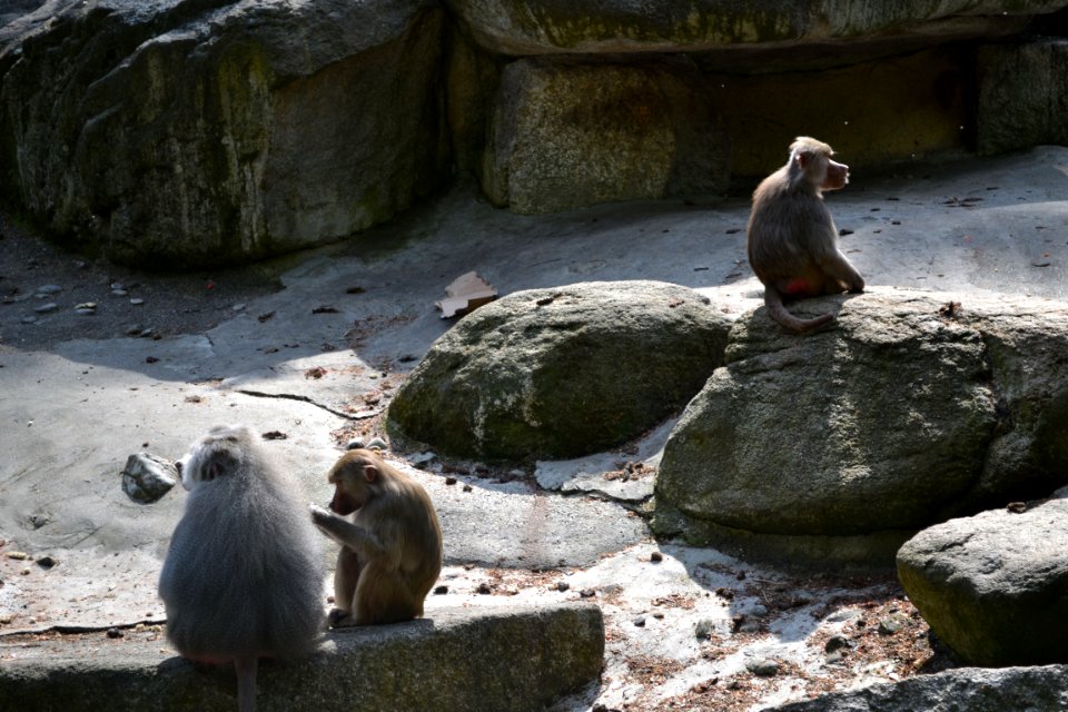 tierpark