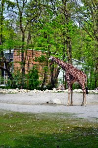 tierpark