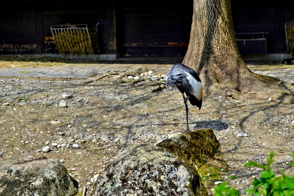 tierpark