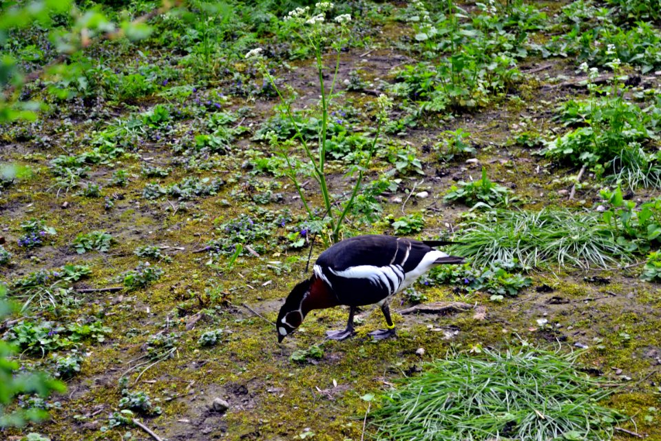 tierpark