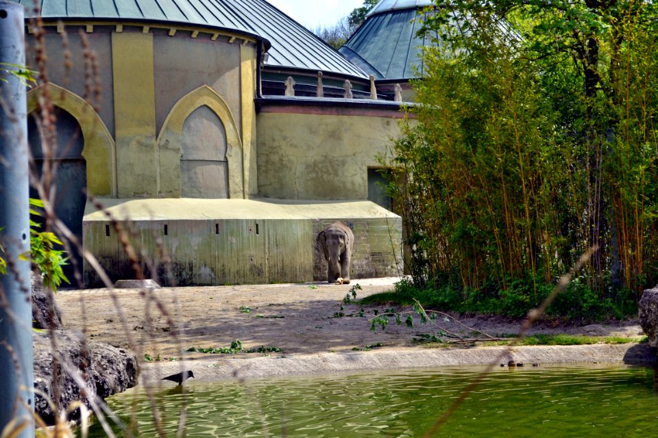 tierpark
