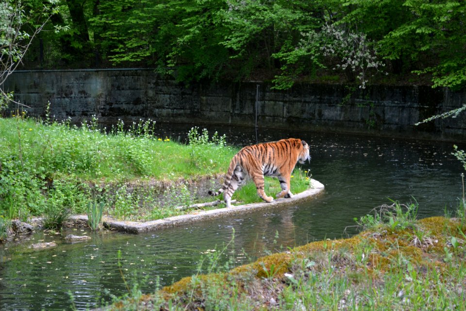 tierpark