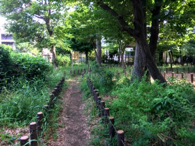 Kurinoki Forest Park in Oizumigakuencho, Nerima-ku photo