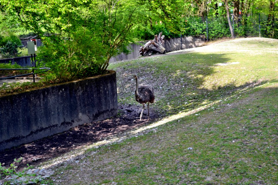 tierpark