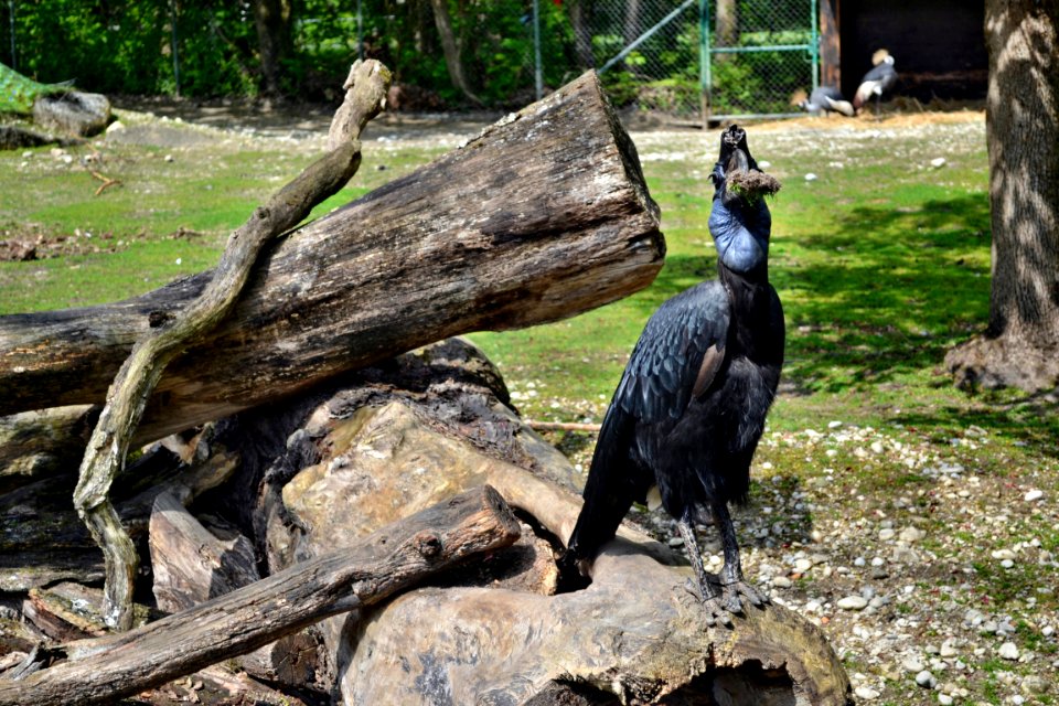 tierpark