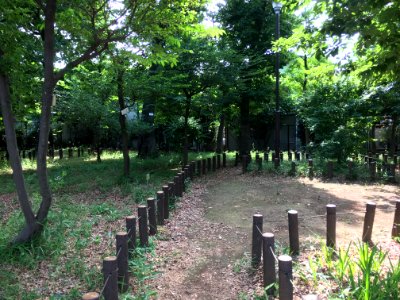 Kurinoki Forest Park in Oizumigakuencho, Nerima-ku photo