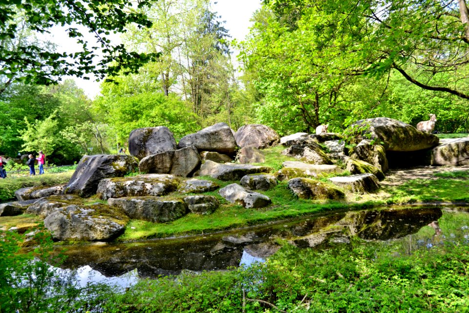 tierpark
