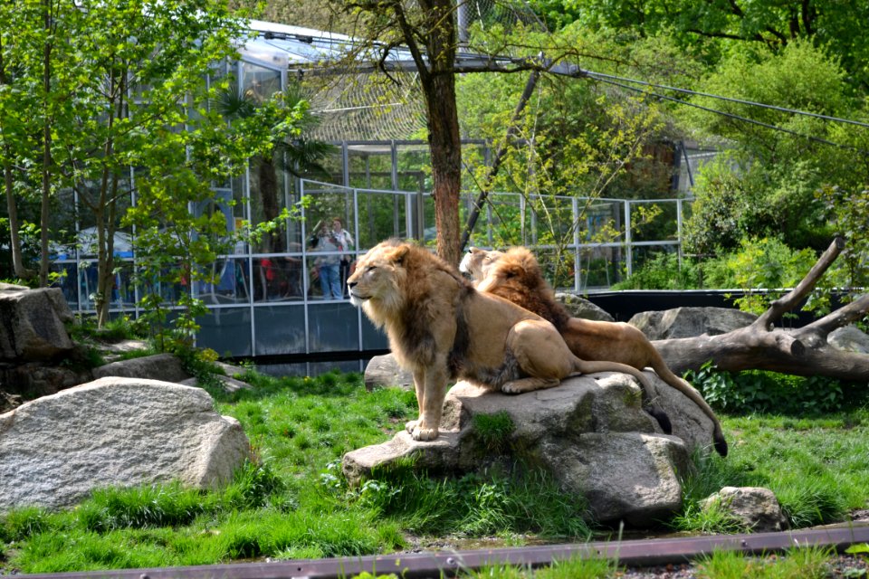 tierpark