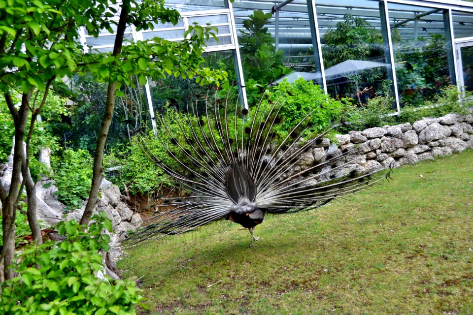 tierpark