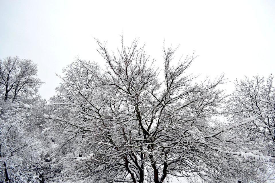 December 28, 2014