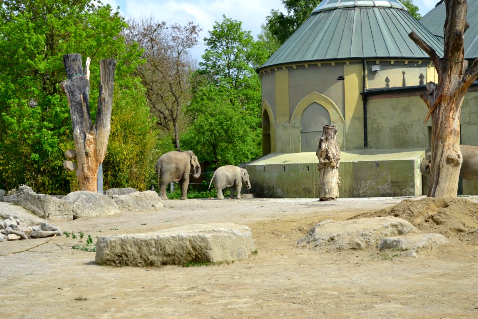 tierpark