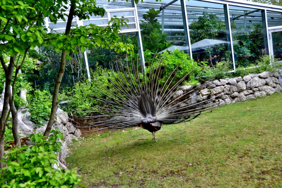 tierpark