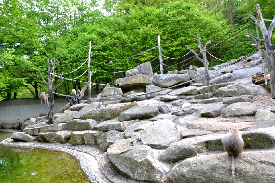 tierpark
