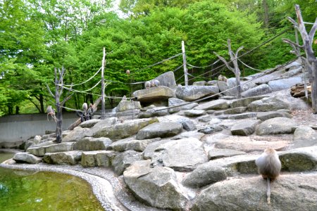 tierpark