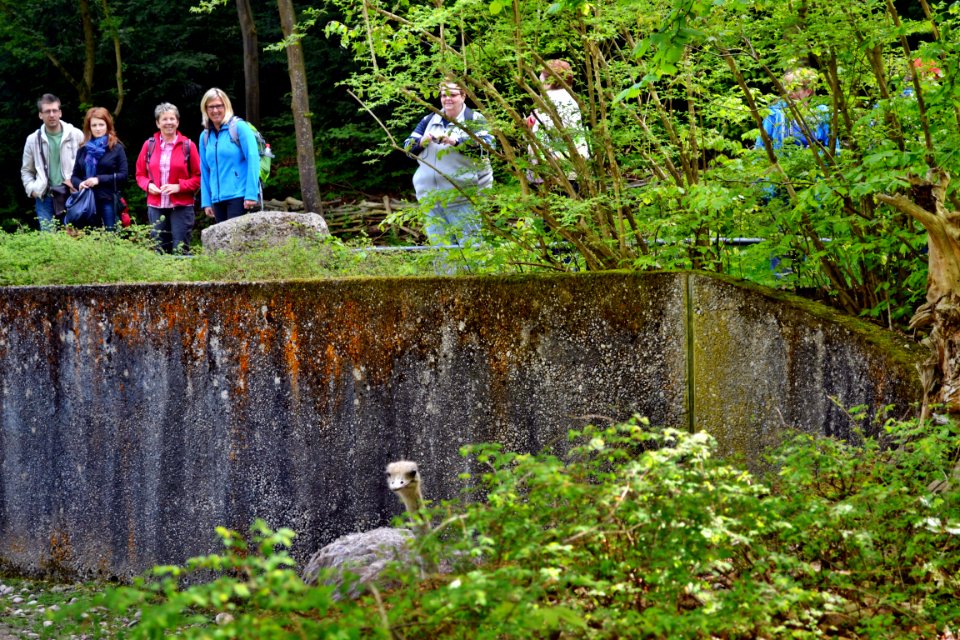 tierpark
