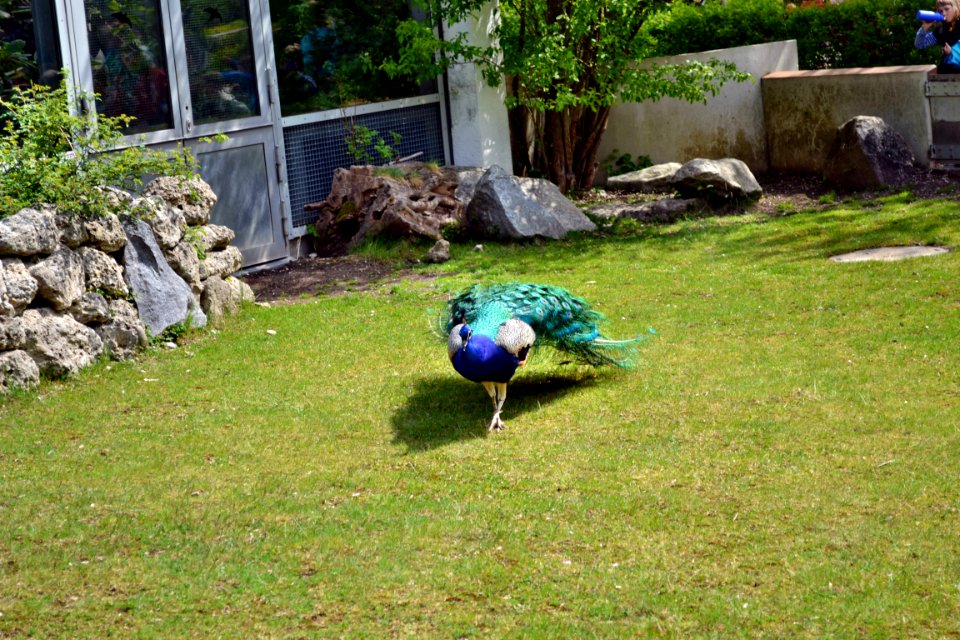 tierpark